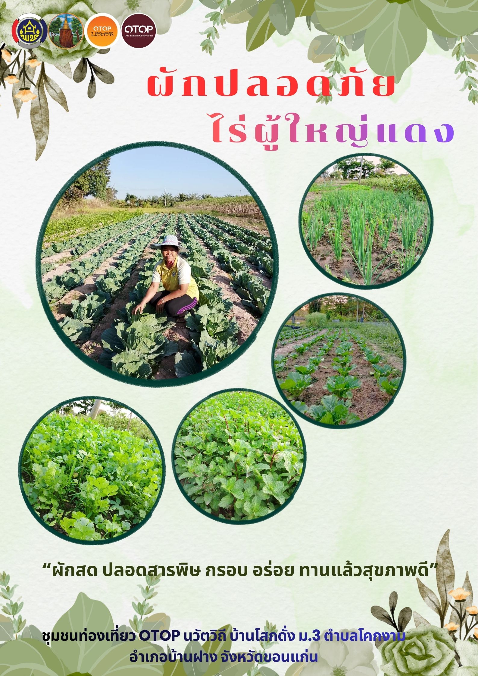 ขอเชิญทุกท่าน ช้อปผลผลิตทางการเกษตร ผักปลอดภัยไร่ผู้ใหญ่แดง ชุมชนท่องเที่ยว OTOP นวัตวิถี บ้านโสกดั่ง ม.3 ตำบลโคกงาม อำเภอบ้านฝาง จังหวัดขอนแก่น