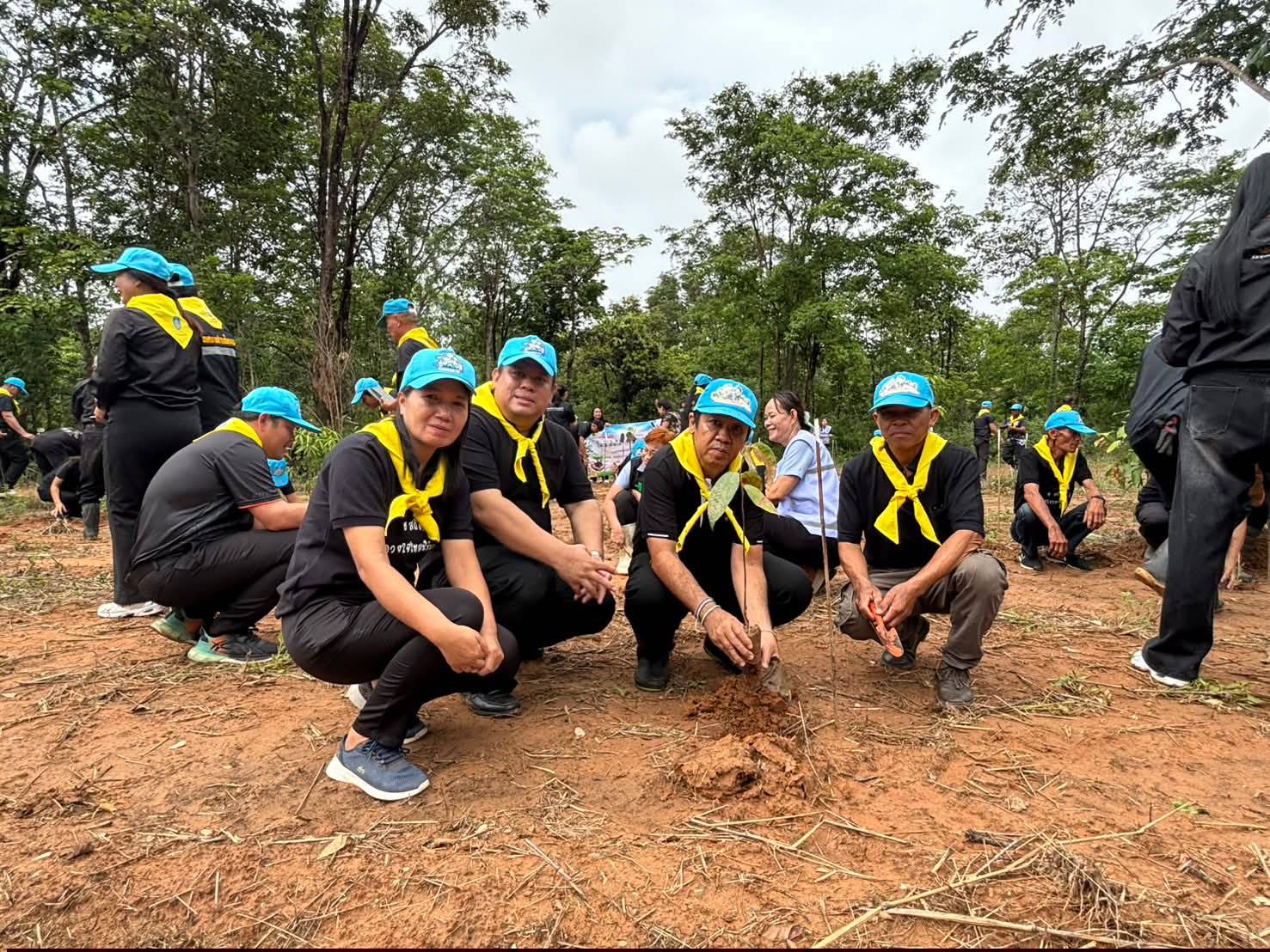 พช.บ้านฝาง ร่วมกิจกรรมวันต้นไม้ประจำปีของชาติ