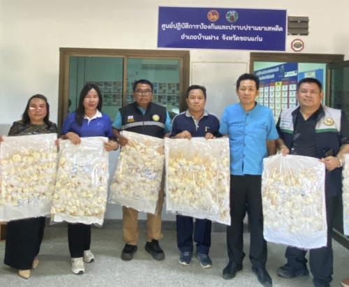 พช.บ้านฝาง  : ร่วมรับมอบดอกไม้จันทน์จากเทศบาลตำบลโคกงาม จำนวน 3,100 ดอก เตรียมความพร้อมสำหรับ พระราชพิธีถวายพระเพลิงพระบรมศพ
